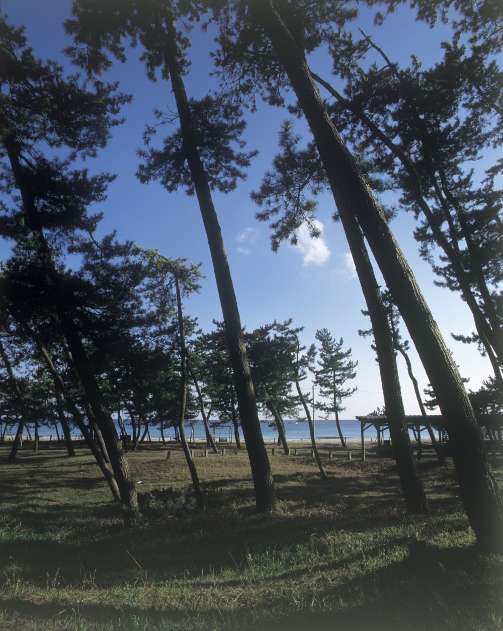 りふれっしゅ村鉢ヶ崎