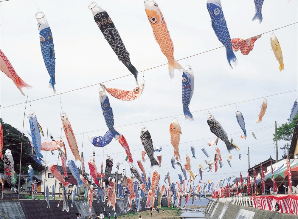 大谷川こいのぼりの川渡し