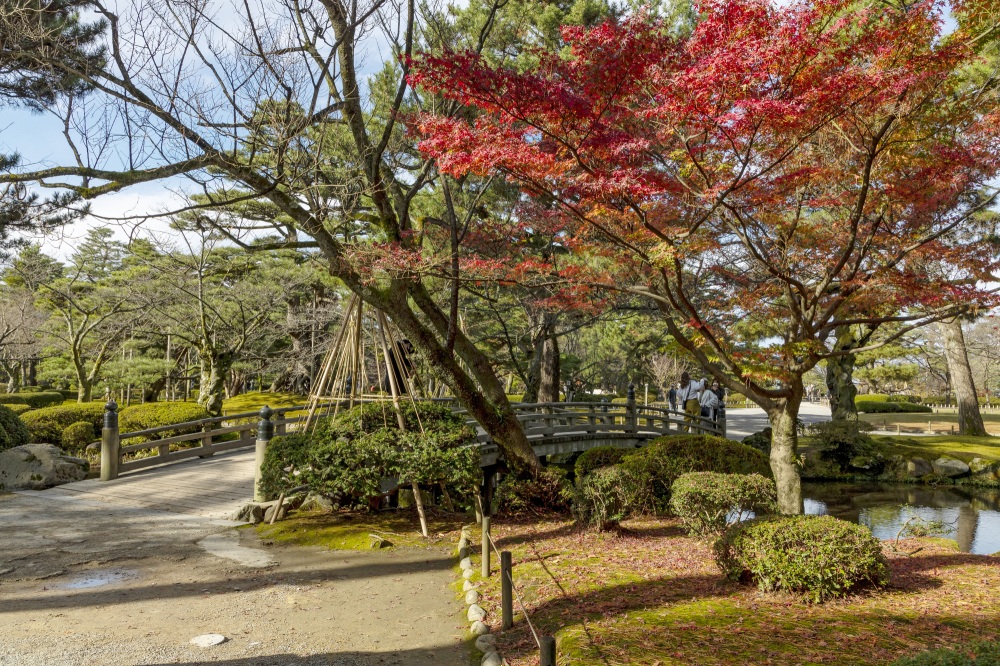 兼六園・花見橋（秋）
