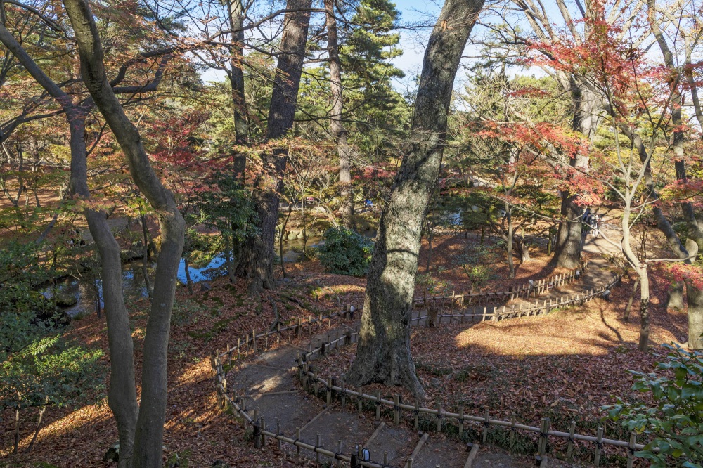 兼六園・山崎山周辺