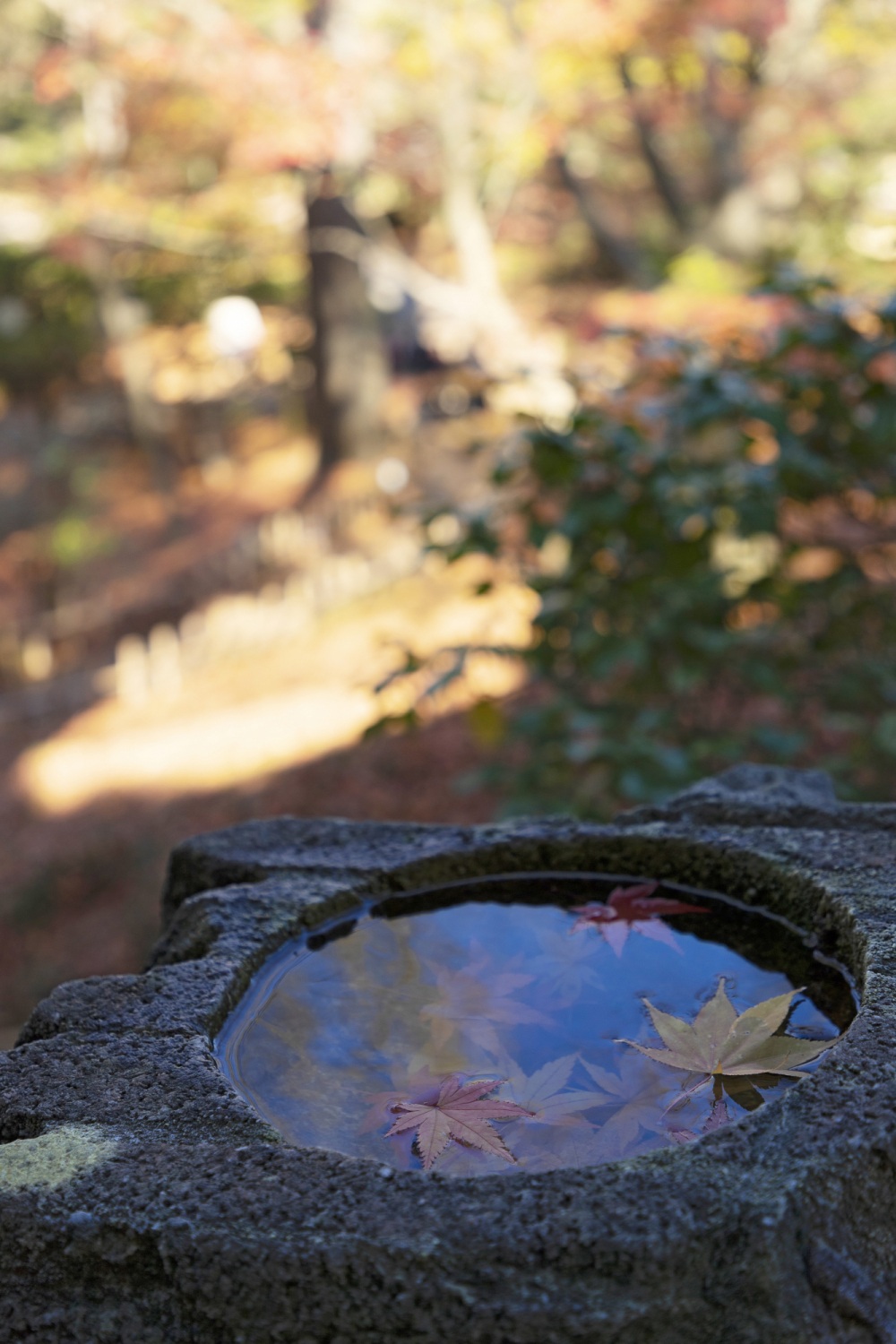 兼六園・山崎山周辺