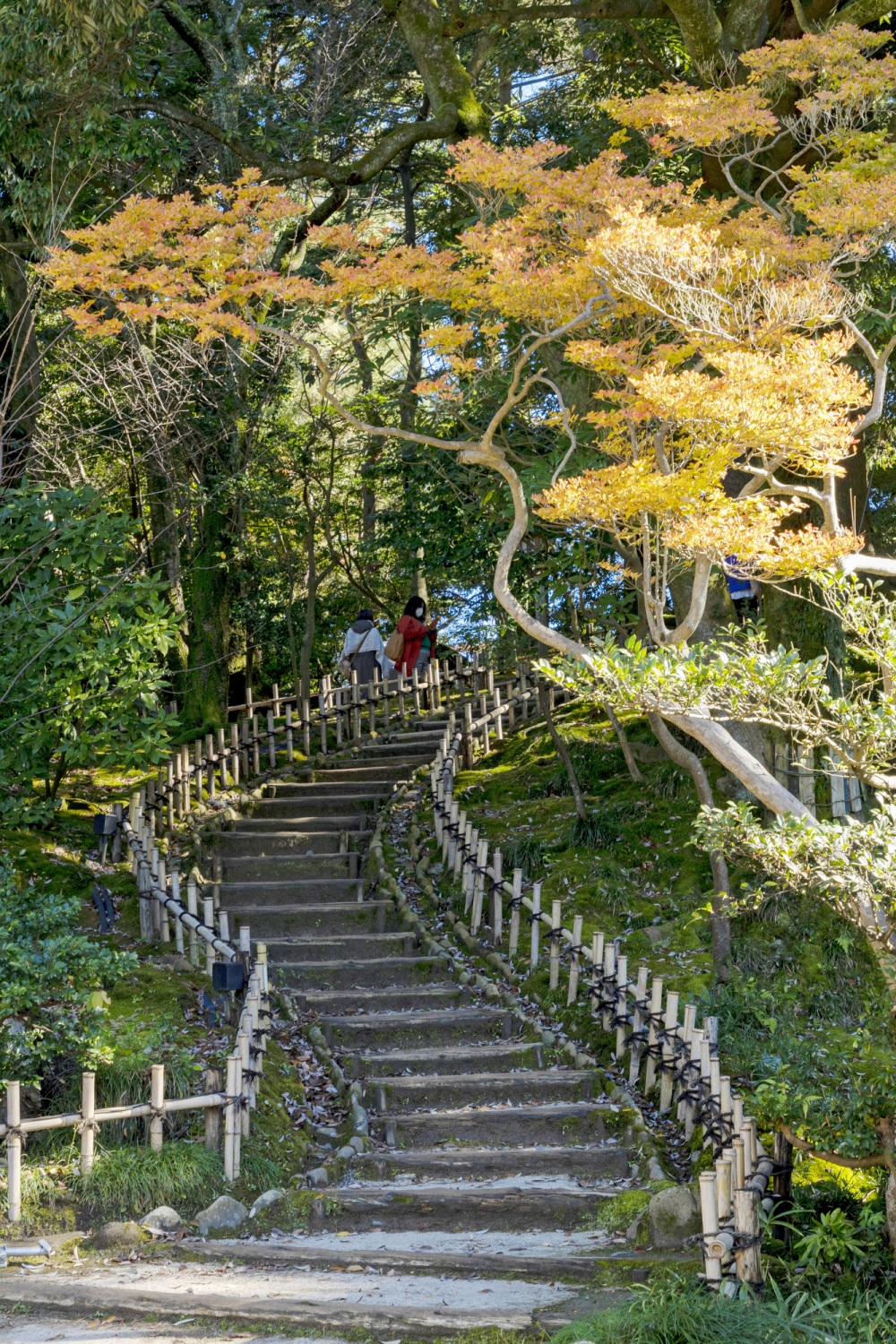 兼六園・散策路