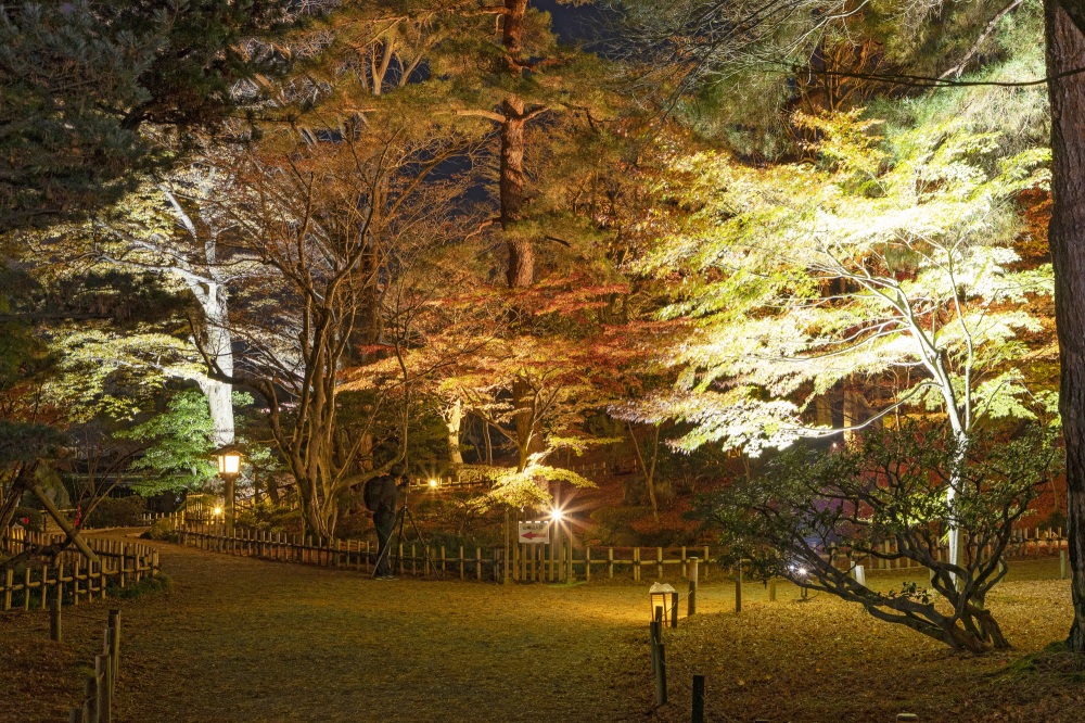 兼六園ライトアップ・山崎山周辺（秋）