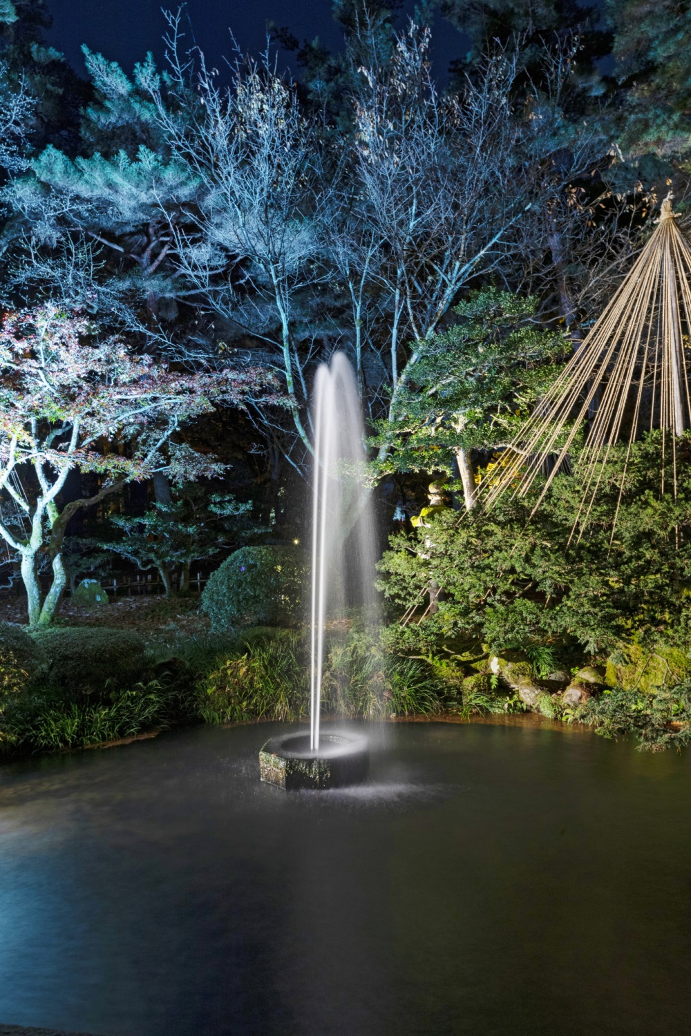 兼六園ライトアップ・噴水（秋）