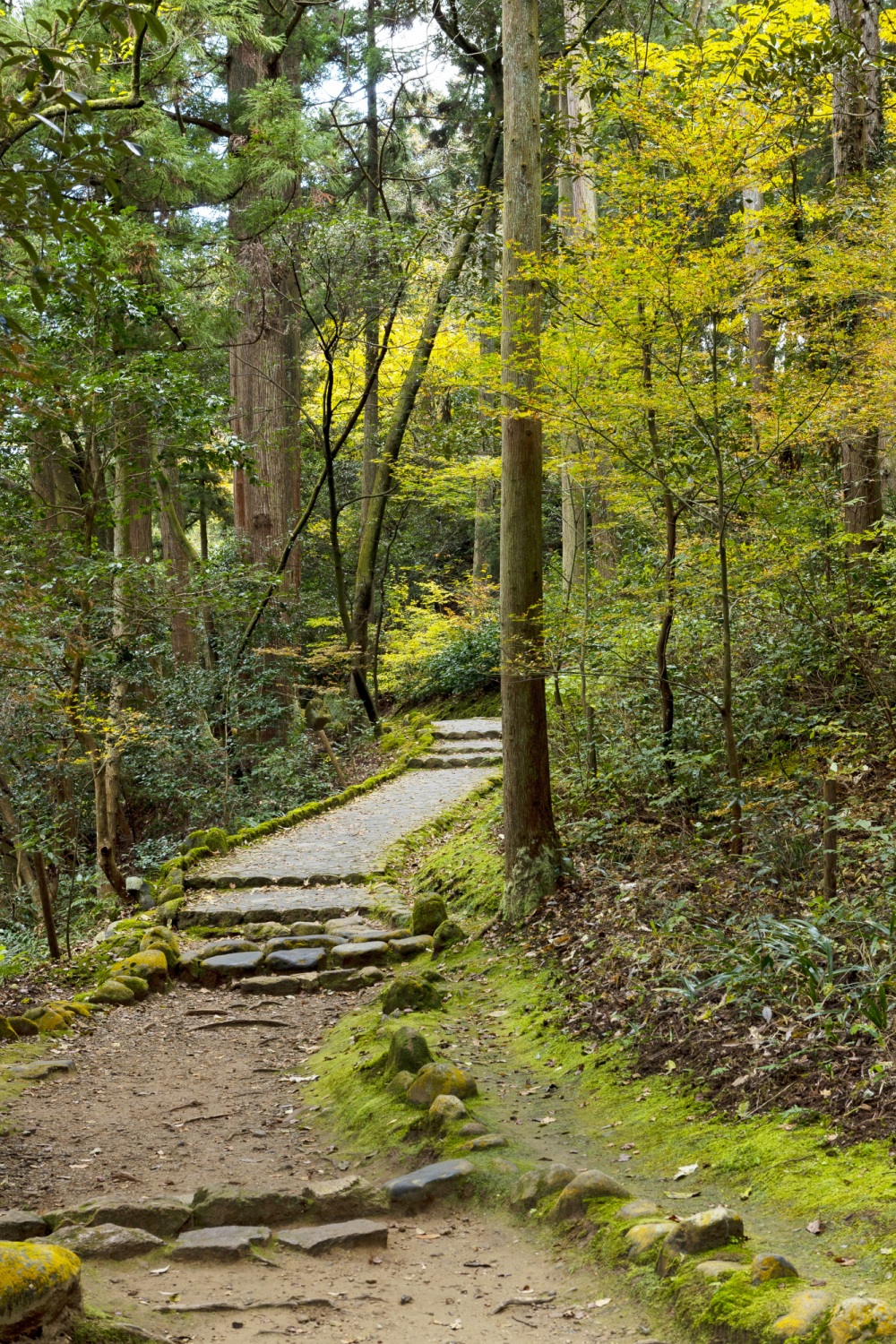 鶴仙渓・あやとりはし