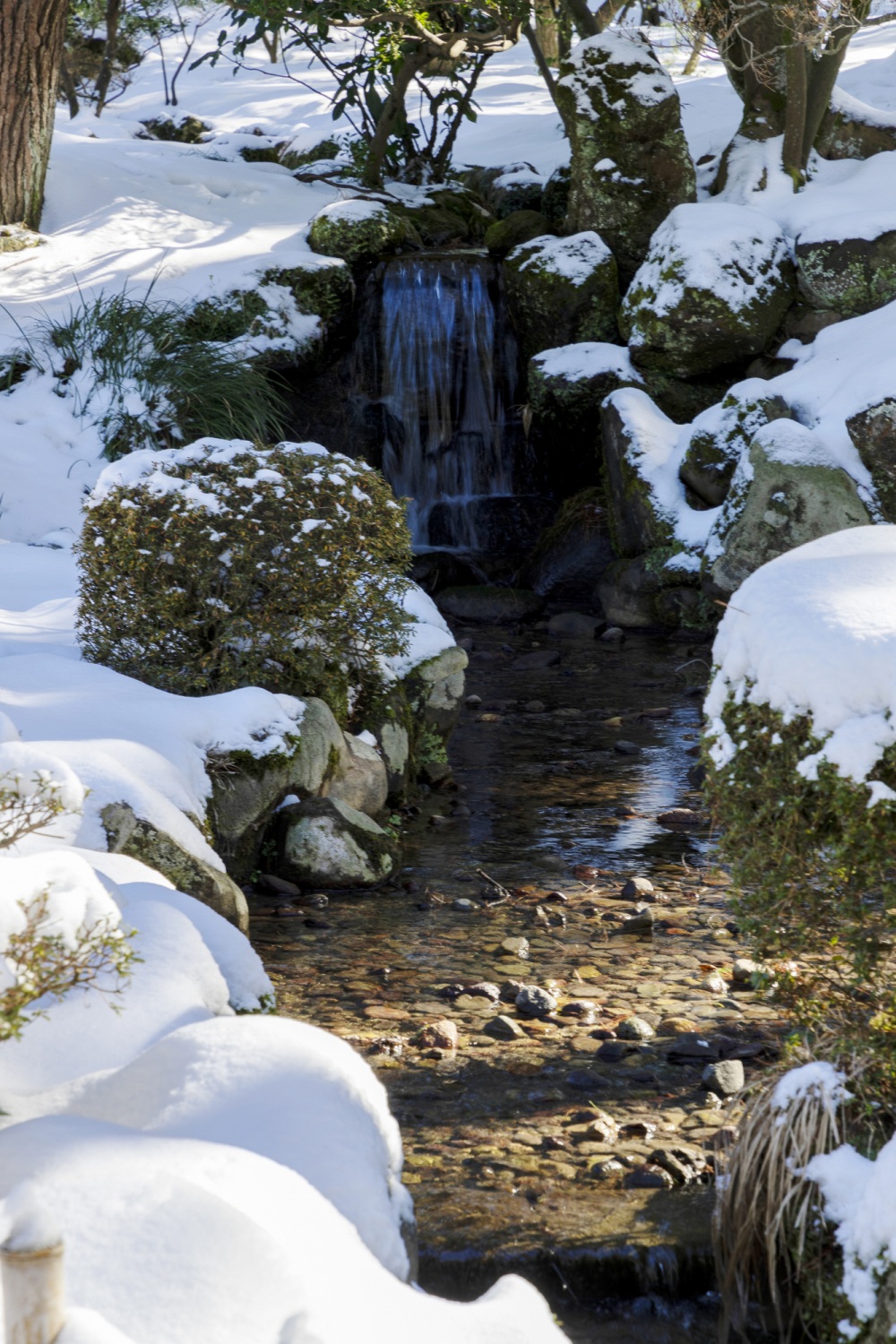 兼六園（冬）