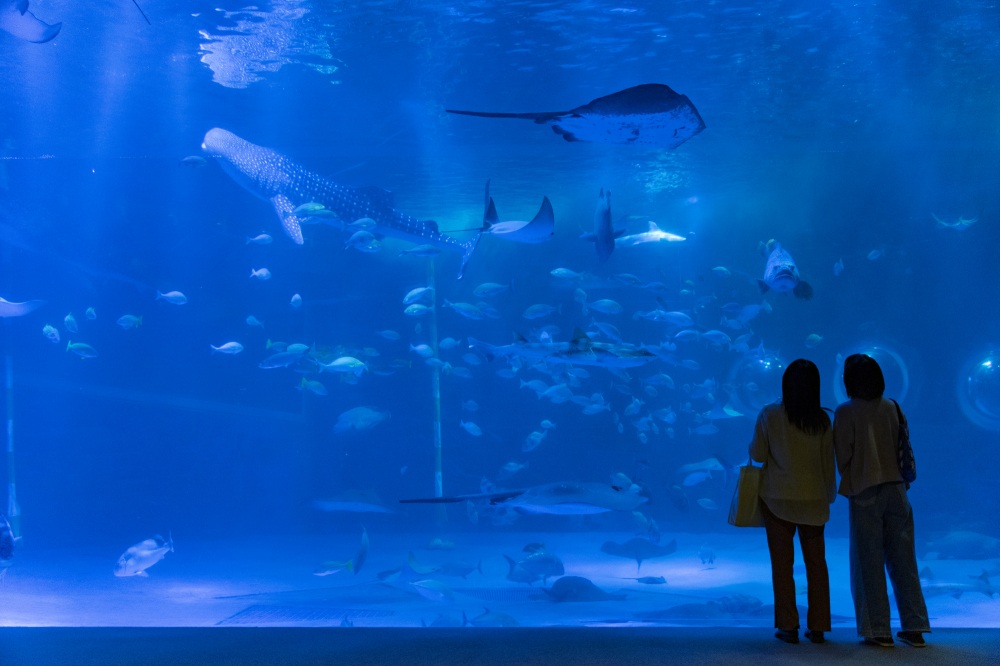 のとじま水族館