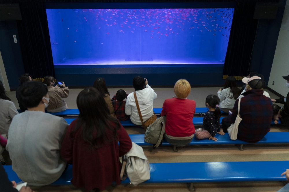 のとじま水族館