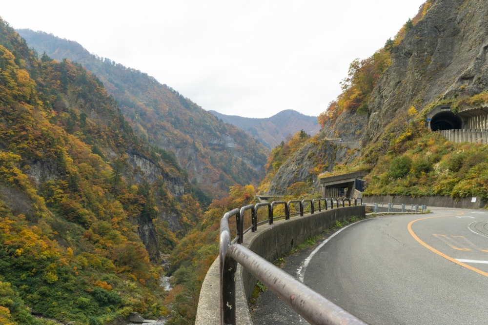 白山白川郷ホワイトロード