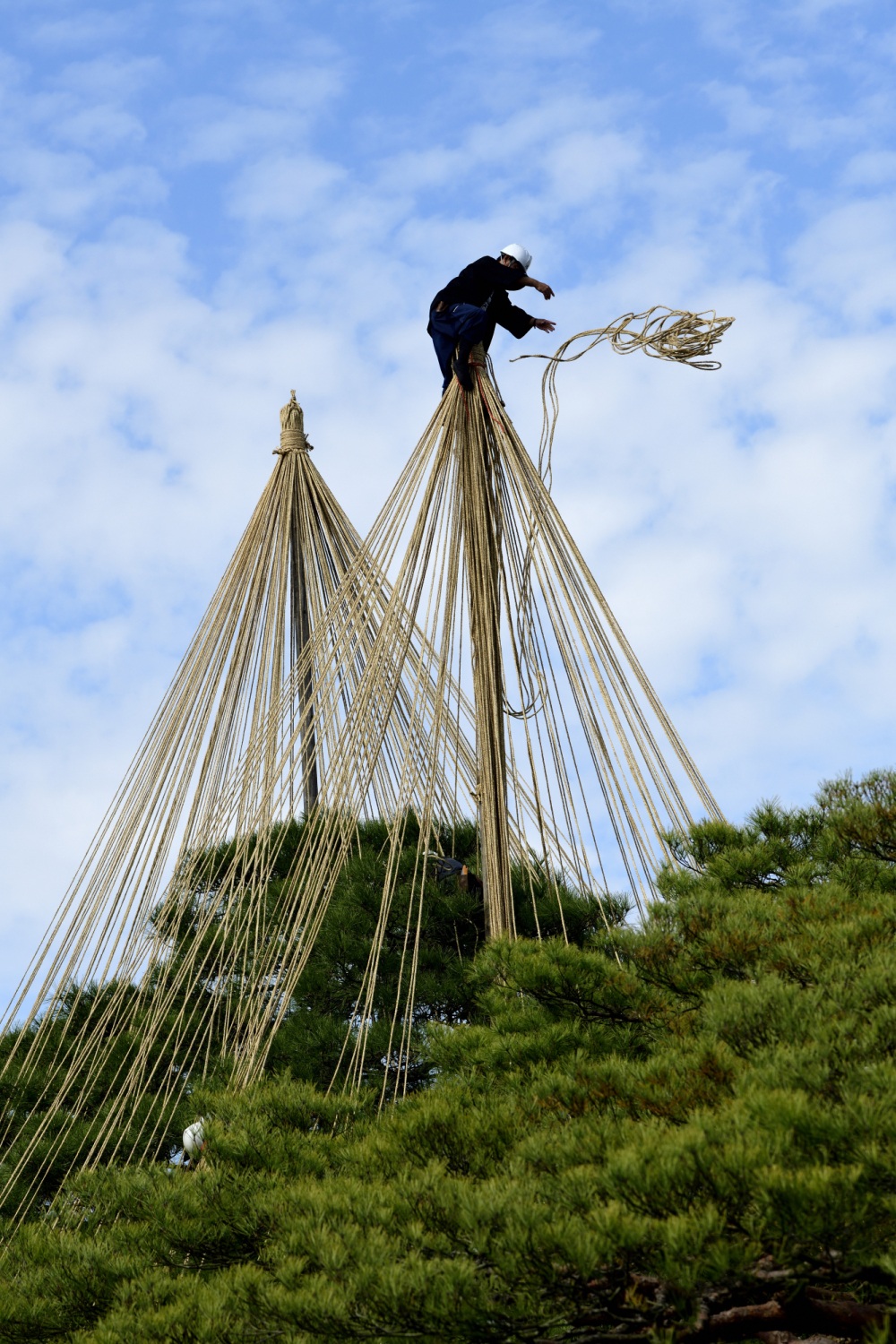兼六園（雪吊り作業）