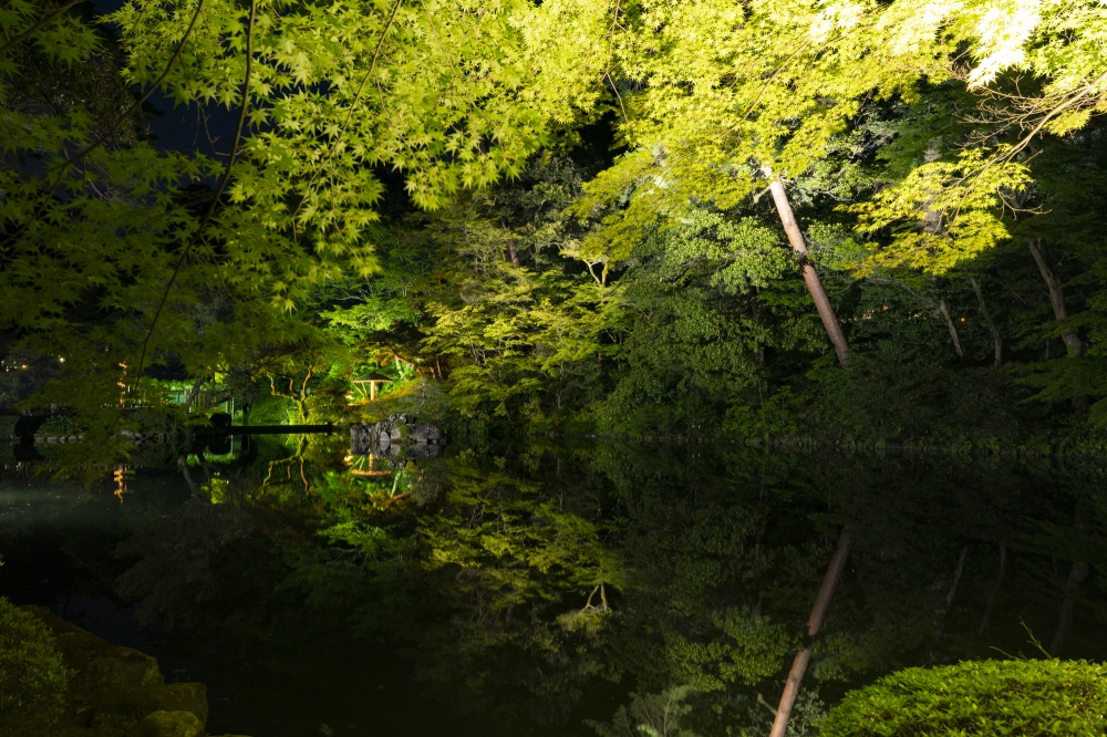 兼六園ライトアップ・瓢池（春）