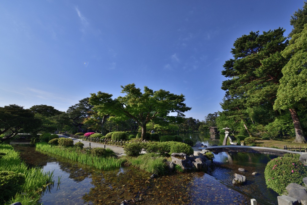 兼六園（春）