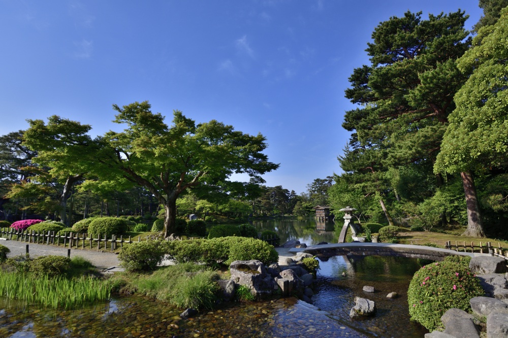 兼六園（春）