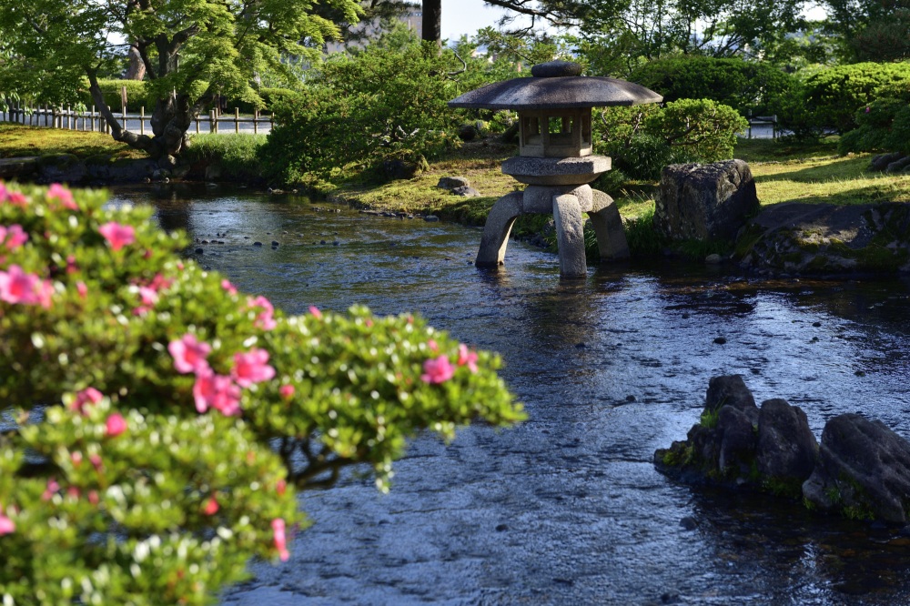 兼六園（春）