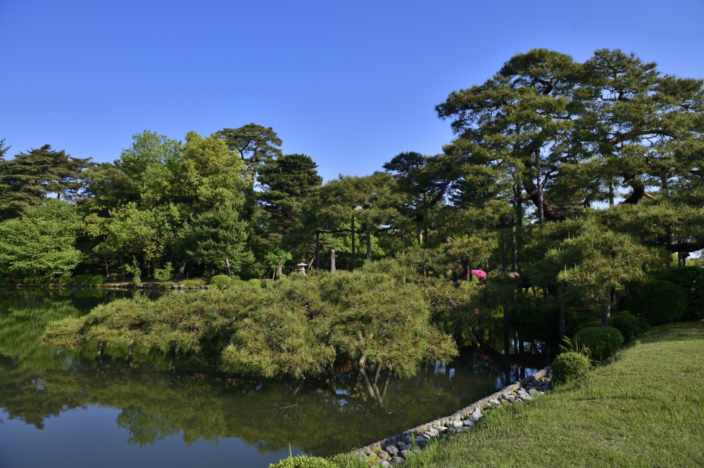 兼六園（春）