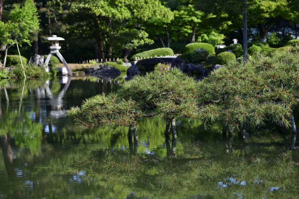 兼六園（春）