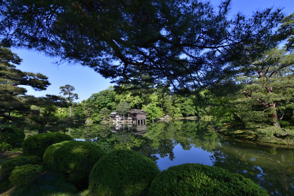 兼六園（春）
