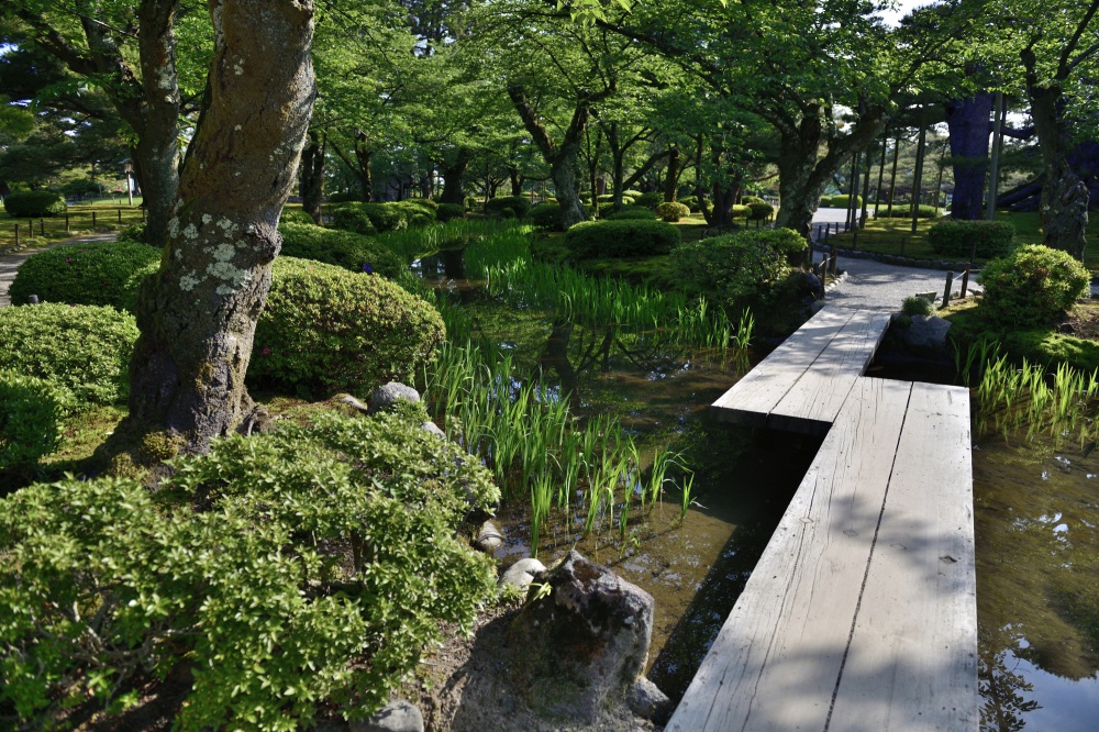 兼六園（春）