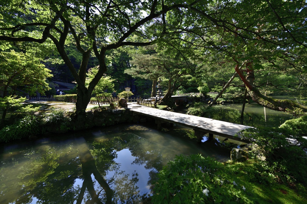 兼六園（春）