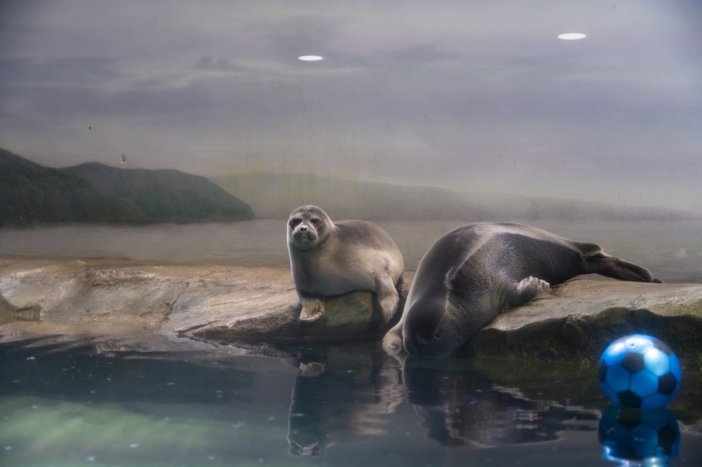 いしかわ動物園