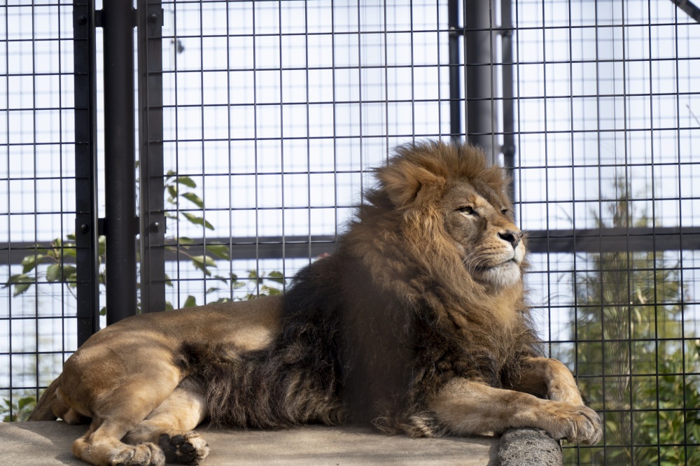 いしかわ動物園