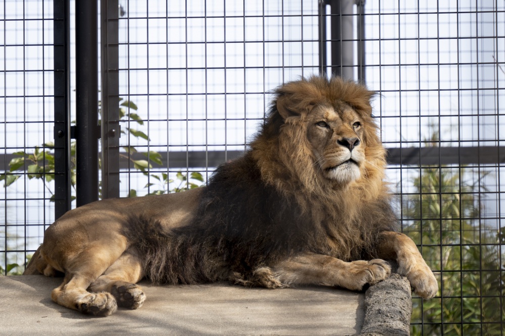 いしかわ動物園