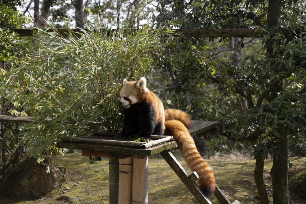 いしかわ動物園