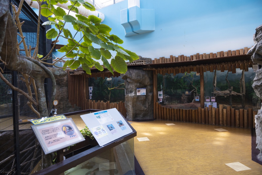 いしかわ動物園