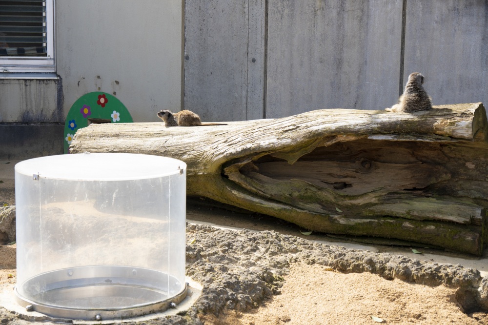 いしかわ動物園