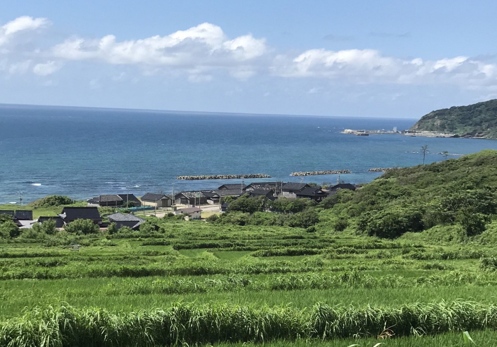 ハイディワイナリー