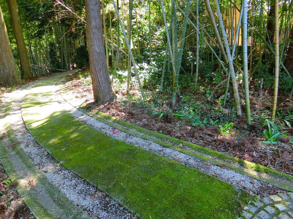 山の寺瞑想の道