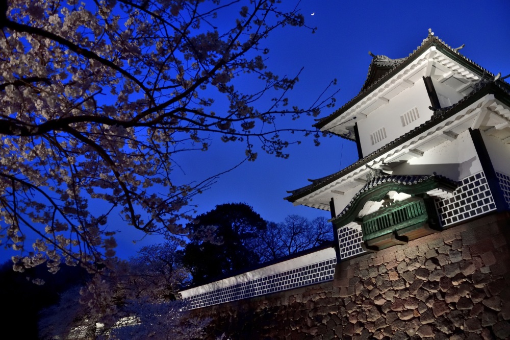 金沢城公園-夜桜