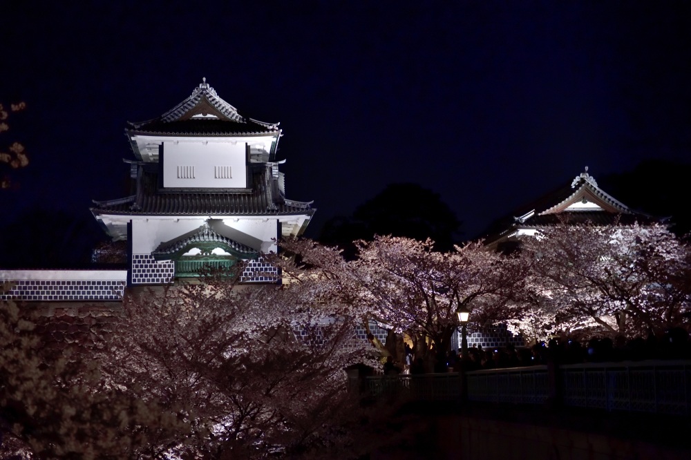 金沢城公園-夜桜