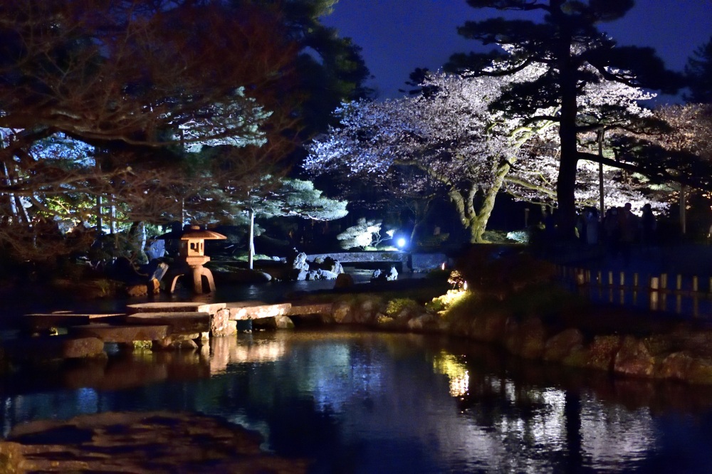兼六園-夜桜
