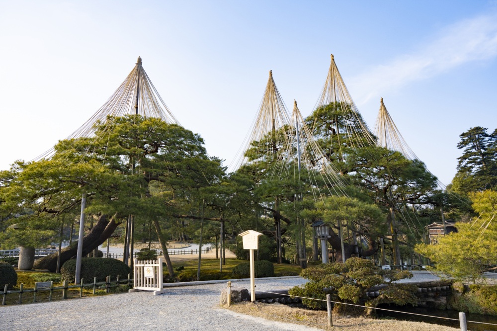 兼六園（雪吊り）
