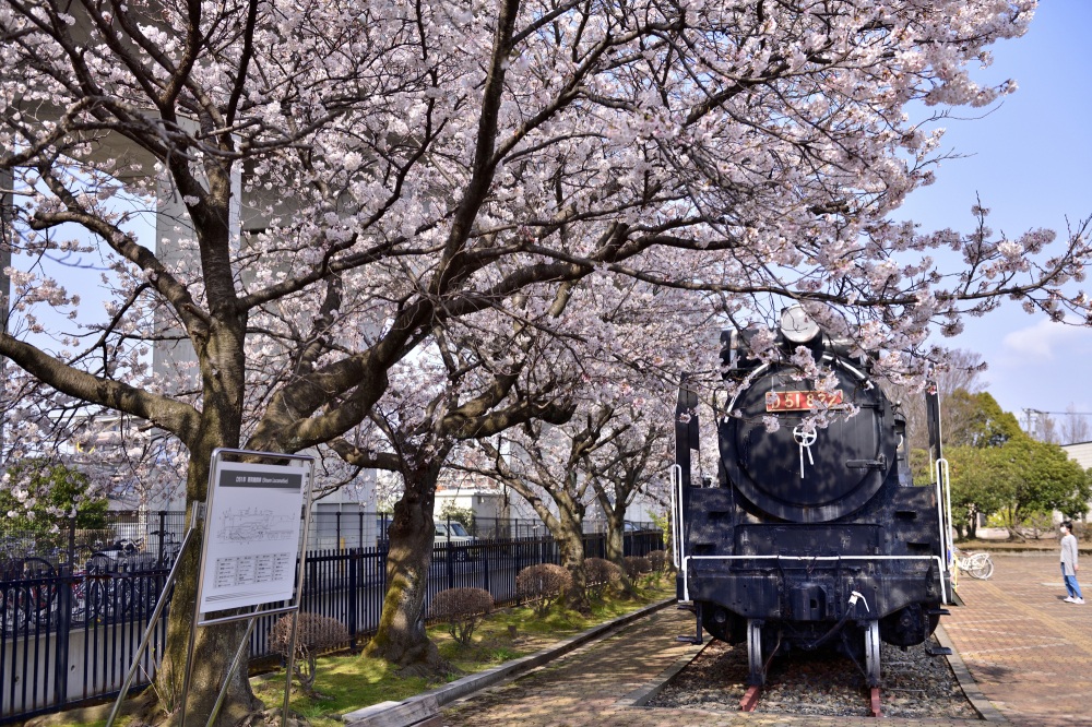 松任駅-桜