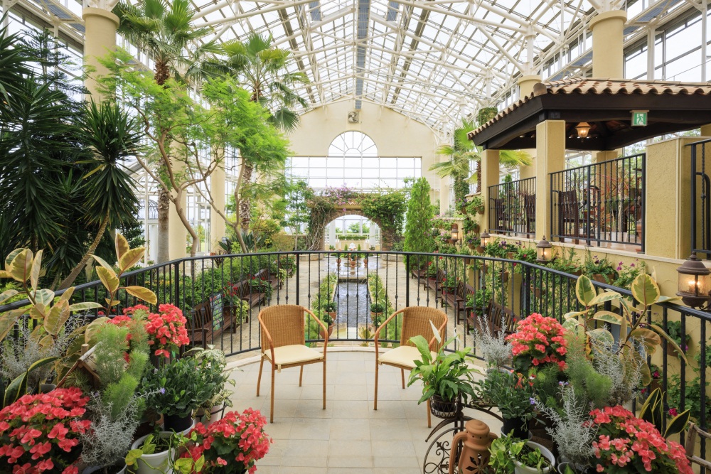 花のミュージアムフローリィ11