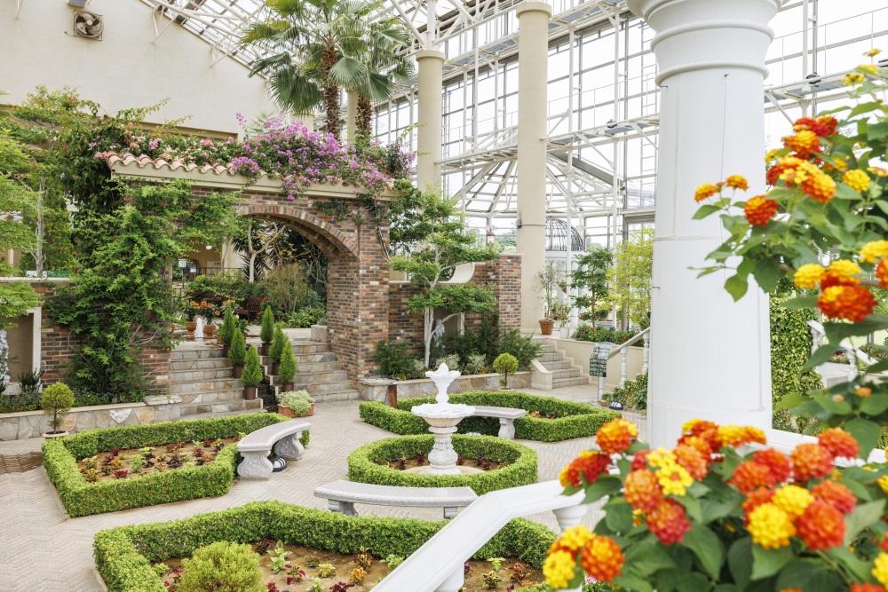 花のミュージアムフローリィ16