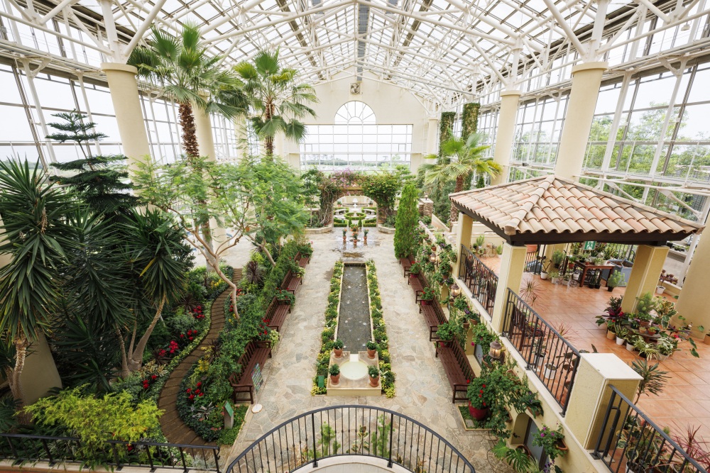 花のミュージアムフローリィ18