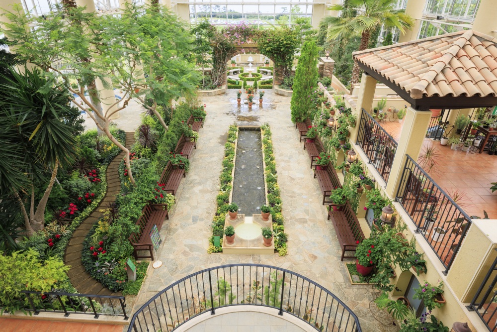 花のミュージアムフローリィ19