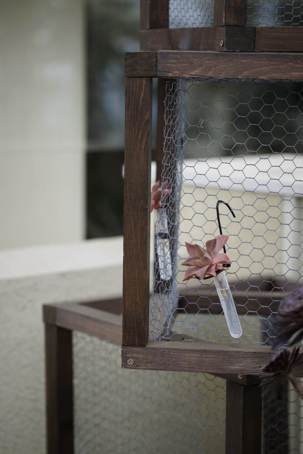 花のミュージアムフローリィ26