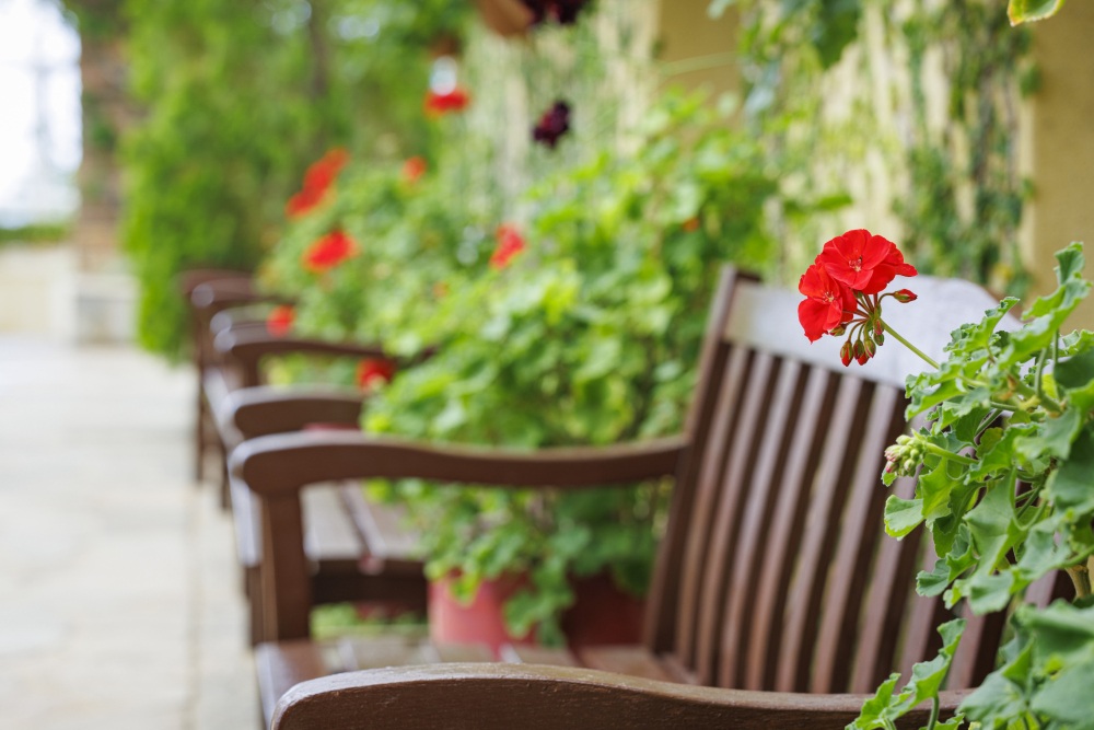 花のミュージアムフローリィ29