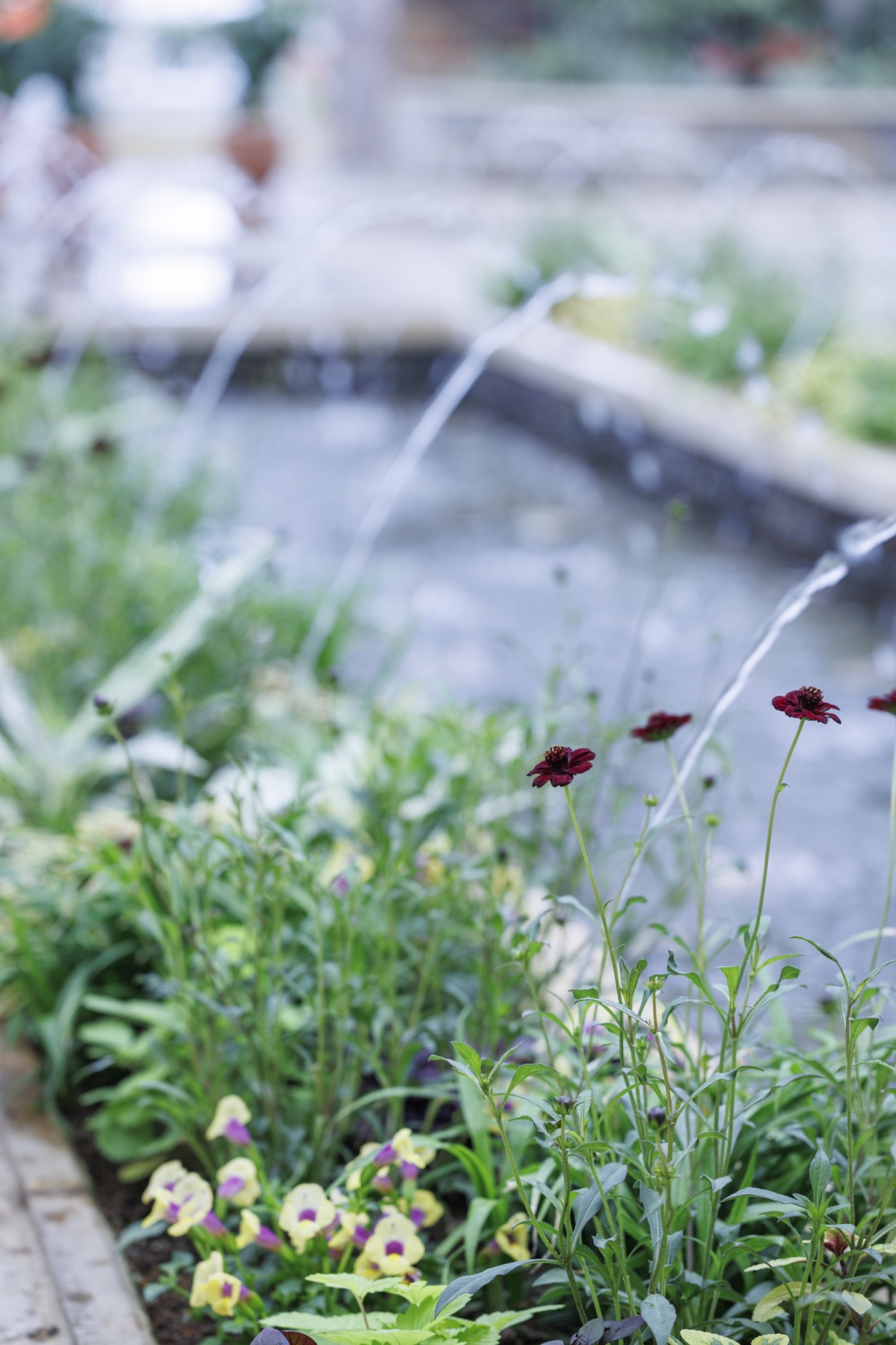 花のミュージアムフローリィ31