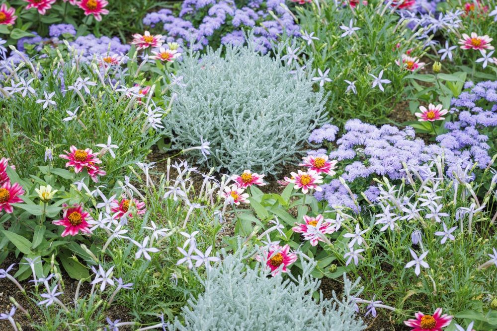 花のミュージアムフローリィ34