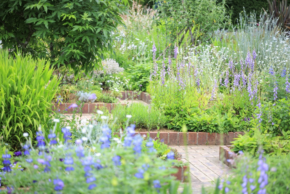 花のミュージアムフローリィ35