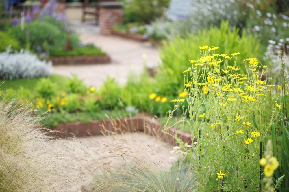 花のミュージアムフローリィ38