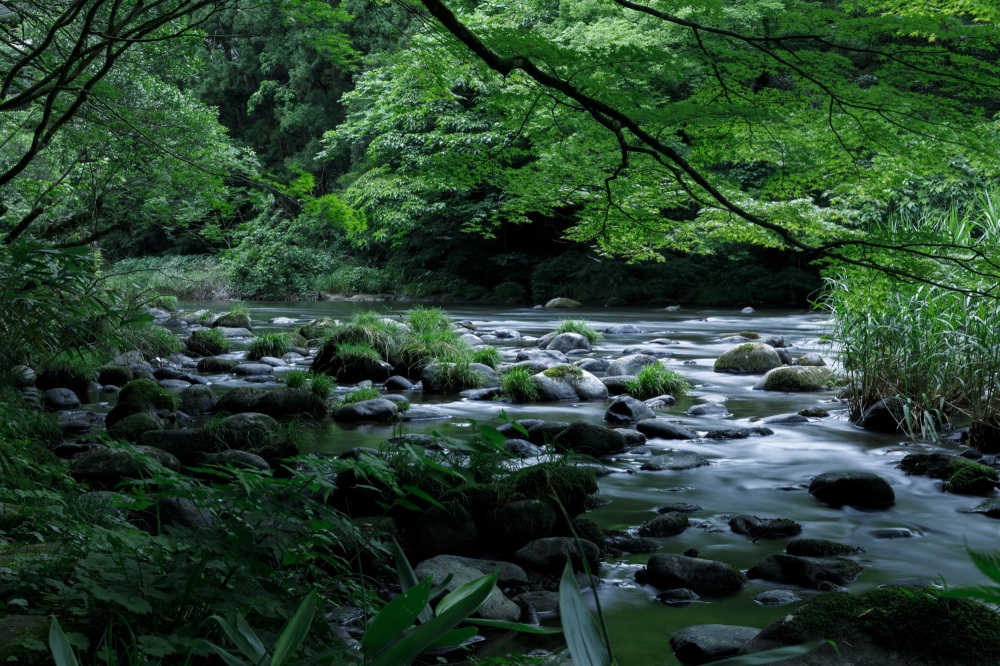 鶴仙渓07