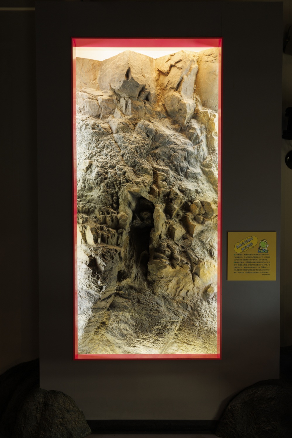 白山恐竜パーク白峰25