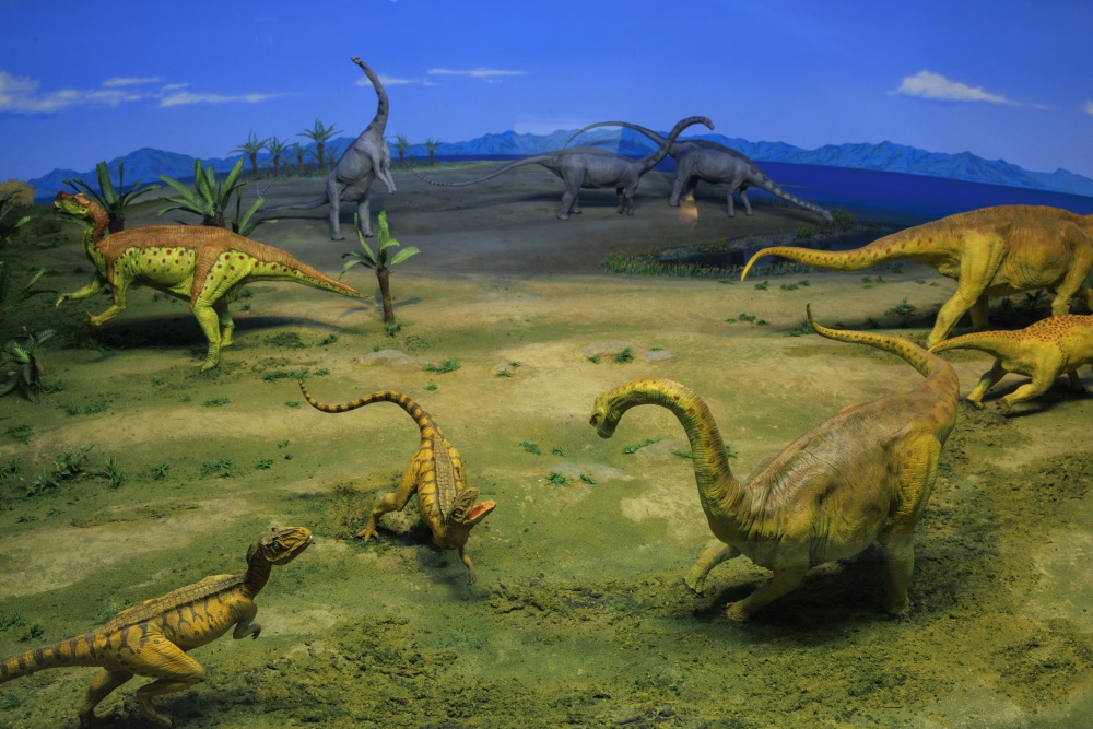 白山恐竜パーク白峰27