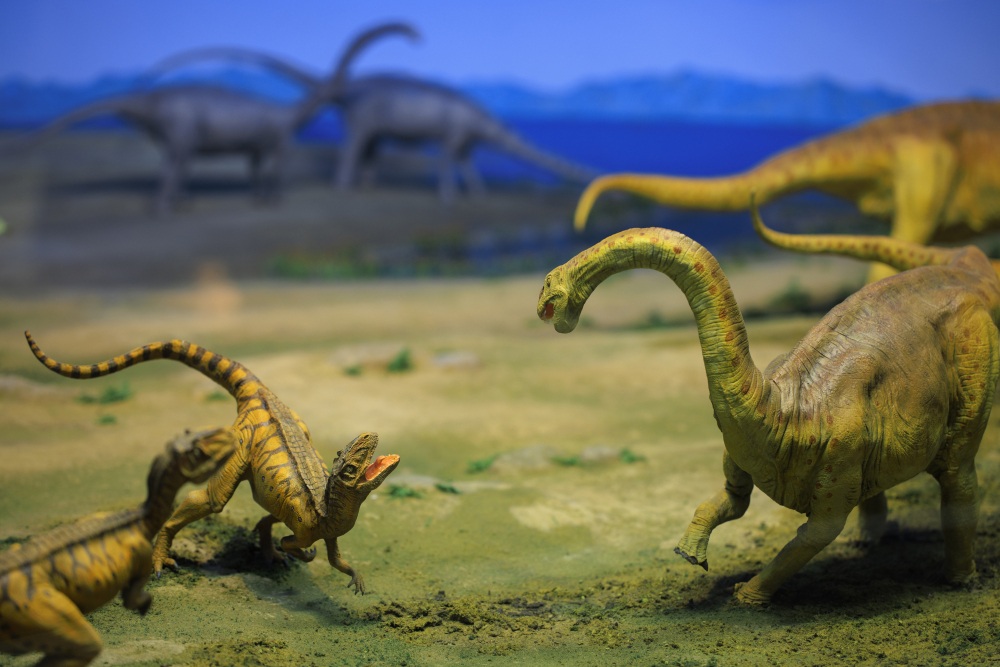 白山恐竜パーク白峰30